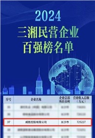 喜訊｜钱柜777控股上榜2024三湘民營企業百強榜單，排名第37位